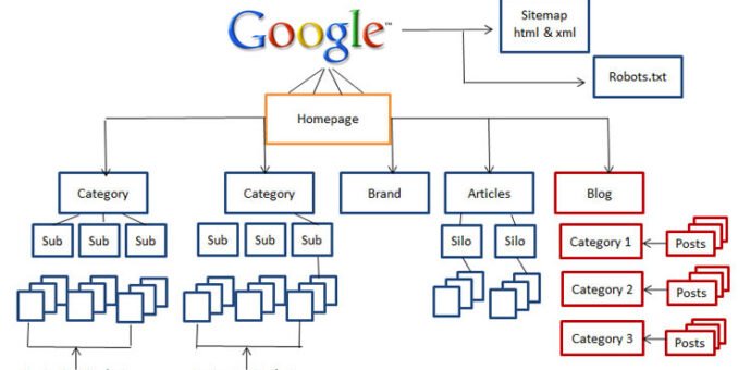 SEO agency in India