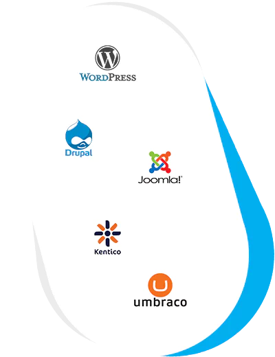 CMS development