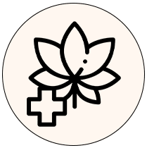 Holistic Health Practitioners